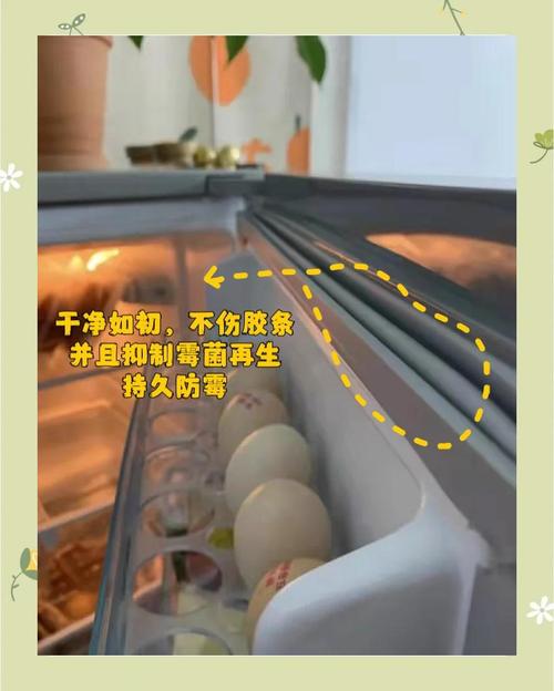 门霉点怎么洗?教你轻松搞定!-第1张图片-索能光电网 门霉点怎么洗?教你轻松搞定!-第1张图片-索能光电网