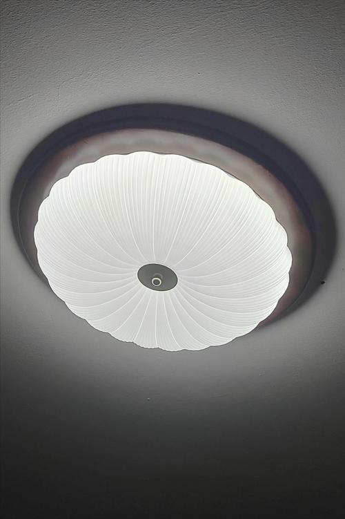 家用灯具选什么牌子最好？-第3张图片-索能光电网