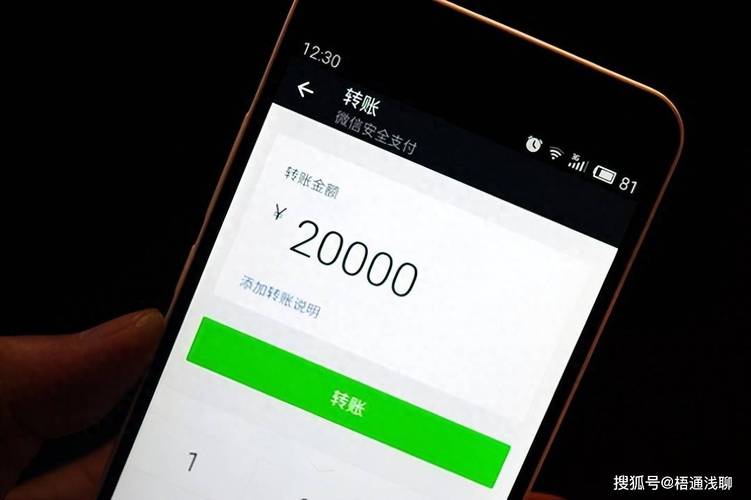 抖音点赞平台24小时秒到账是真实吗？-第2张图片-索能光电网