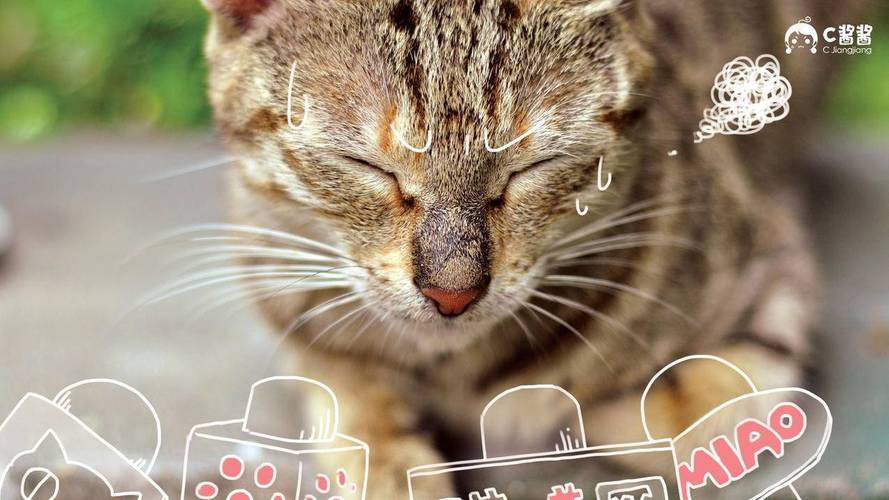 快手直播下单网址秒到账是官方渠道吗?-第3张图片-索能光电网 快手直播下单网址秒到账是官方渠道吗?-第3张图片-索能光电网