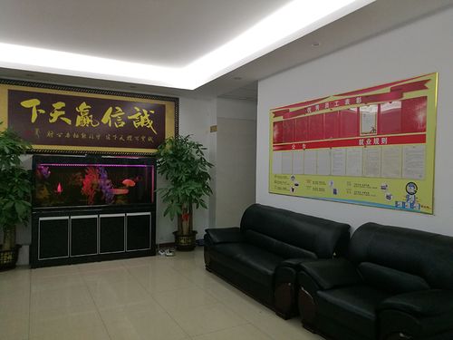 深圳lg电视售后电话是多少？-第3张图片-索能光电网