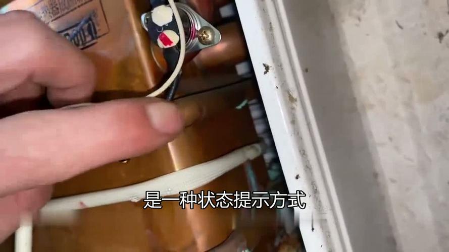 菲斯曼显示电话有何独特功能？-第3张图片-索能光电网