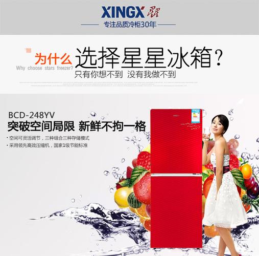 飞鹿冰箱售后电话是多少？-第1张图片-索能光电网