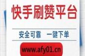 抖音涨赞自助下单机器人与真人点赞平台哪个更靠谱？效果和安全性如何保障？-第3张图片-索能光电网