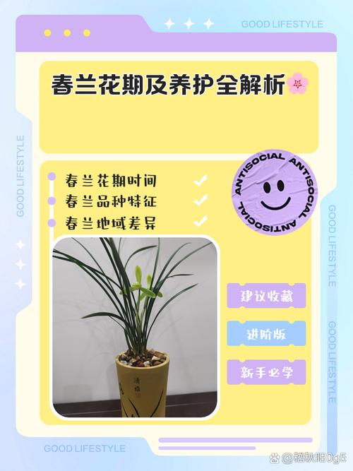 春兰保修电话是多少？-第2张图片-索能光电网