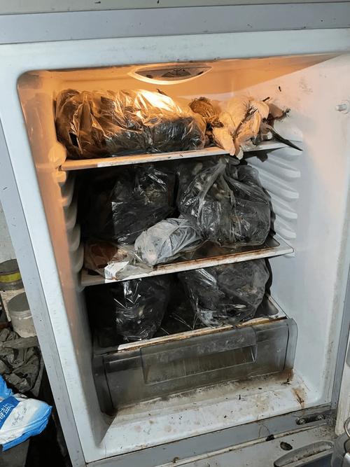 杭州冰箱冰柜维修电话多少？-第2张图片-索能光电网