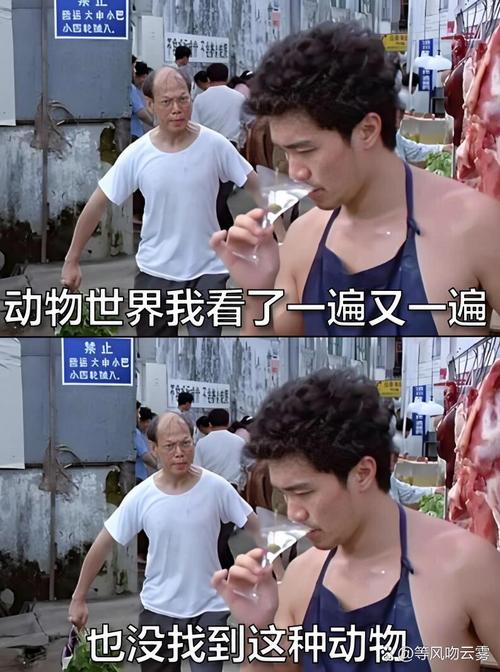 万师傅来的人为啥不会干活？-第1张图片-索能光电网