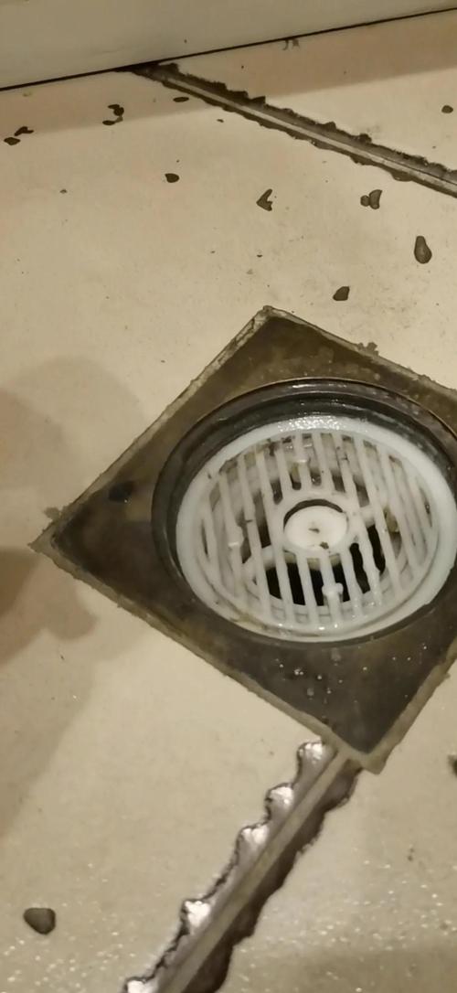 地漏飞虫多怎么彻底清洗？-第2张图片-索能光电网