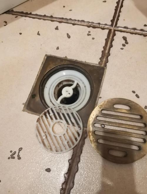 地漏飞虫多怎么彻底清洗？-第1张图片-索能光电网