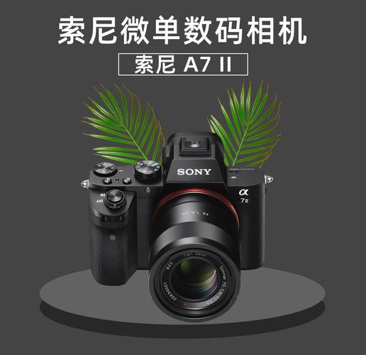 温州索尼相机售后电话-第3张图片-索能光电网