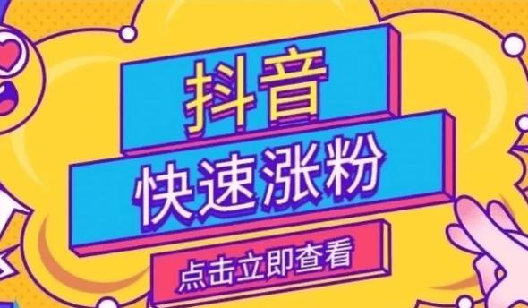 全网低价自助下单平台-抖音业务24小时自助平台秒到账-抖音涨粉网站全网-第1张图片-索能光电网