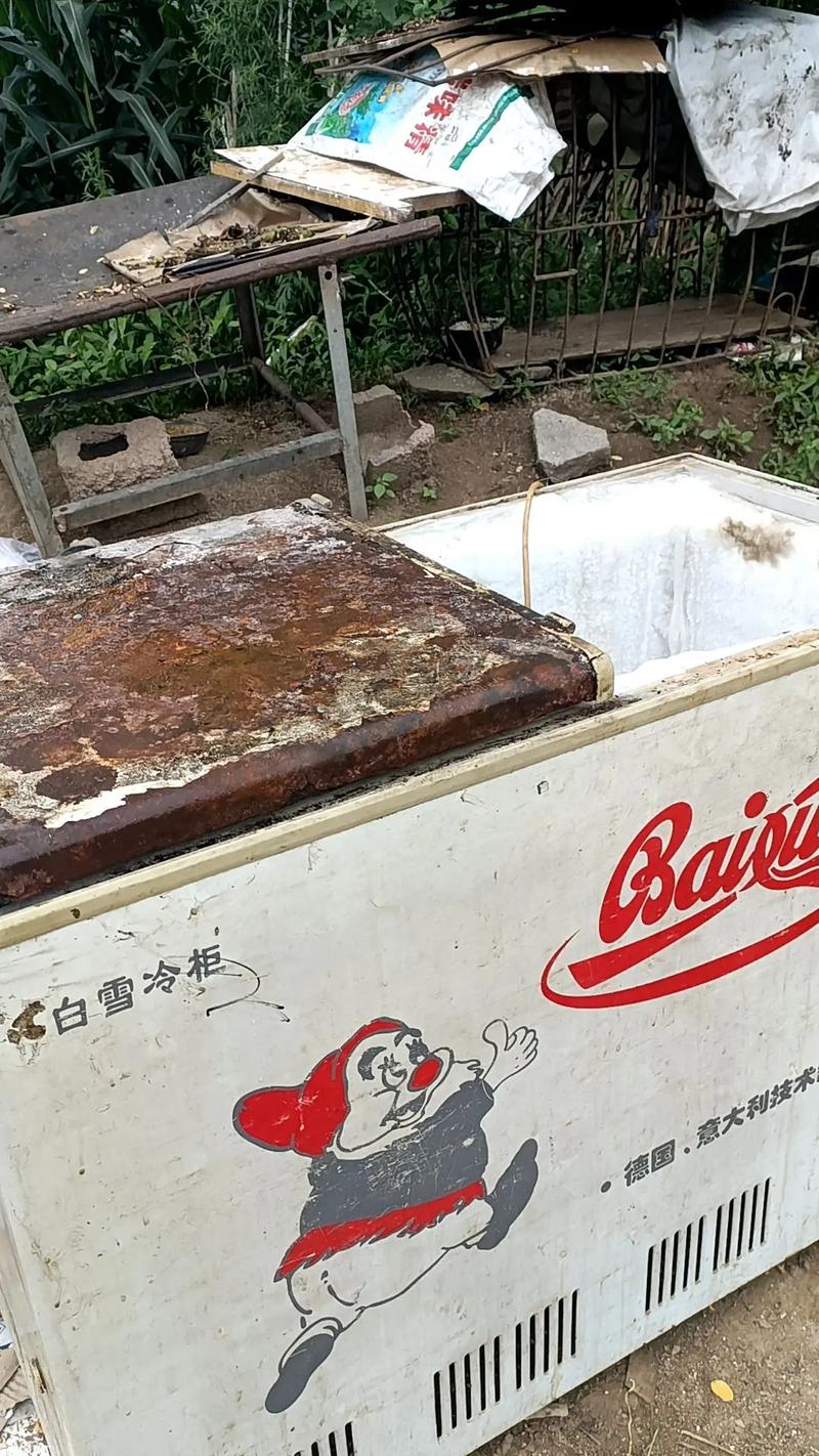 邯郸白雪冰柜售后电话-第2张图片-索能光电网