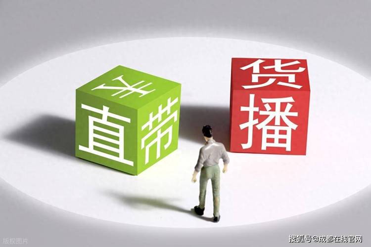 抖音代涨平台最低价-24小时在线涨业务网站-ks低价下单平台入口-第2张图片-索能光电网