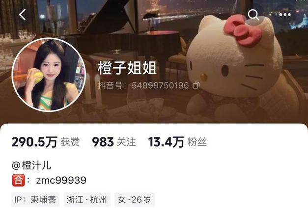 KS业务超低价24小时自助平台-橙子网络抖音涨赞-DY平台24小时免费免费业务网址便宜-第2张图片-索能光电网