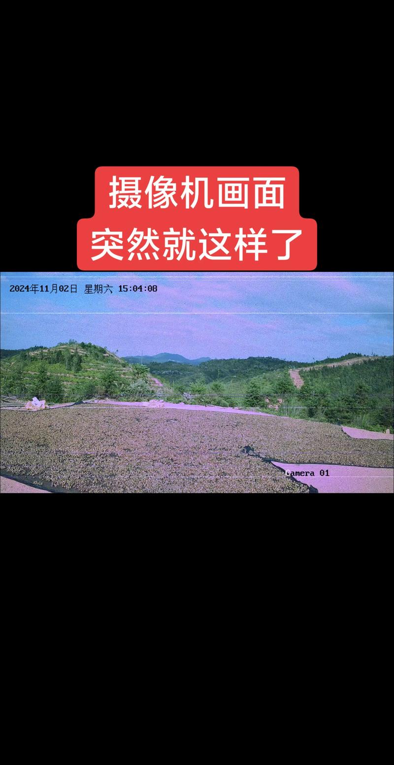 怎么检测前摄-第2张图片-索能光电网