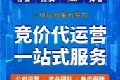 ks播放平台超低价-dy赞自助下单平台秒到网站-0元抖音自助下单下载-第1张图片-索能光电网
