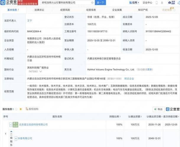 抖音自助下单网站真能秒涨低价赞吗？-第1张图片-索能光电网