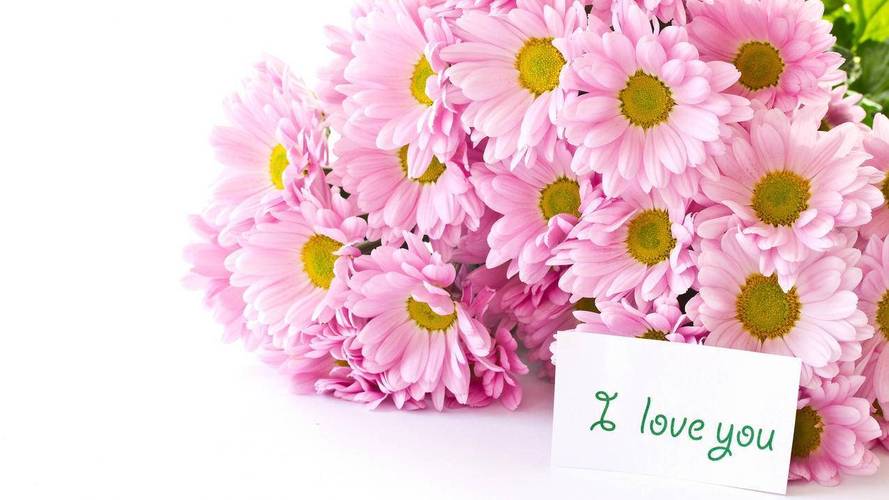 DY24小时自助下单业务怎么免费使用？-第3张图片-索能光电网