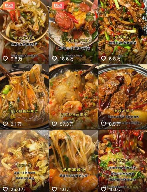 在线抖音双击24小时自助-抖音秒涨自助下单平台24小时-抖音业务秒单平台24小时自助下单服务免费-第2张图片-索能光电网