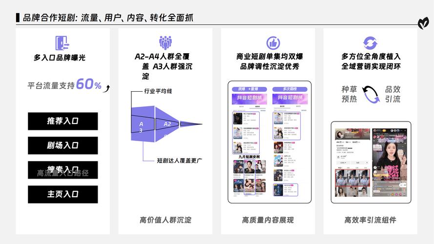 快手抖音自助推广网址安全吗？-第2张图片-索能光电网