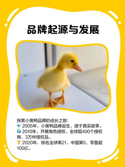 小鸭电话号码是多少?-第1张图片-索能光电网 小鸭电话号码是多少?-第1张图片-索能光电网