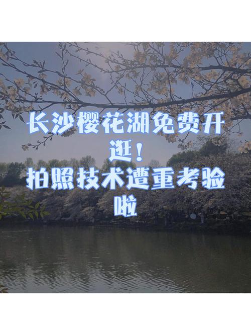 长沙樱花教育电话是多少？-第2张图片-索能光电网