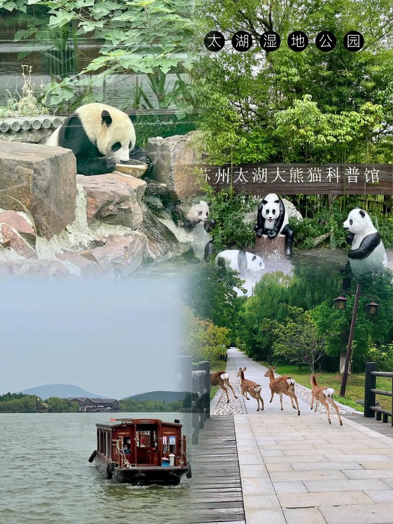 苏州樱花投诉电话是多少？-第2张图片-索能光电网