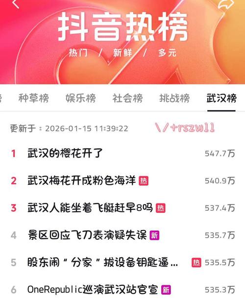 超低价抖音涨赞刷量靠谱吗？-第1张图片-索能光电网