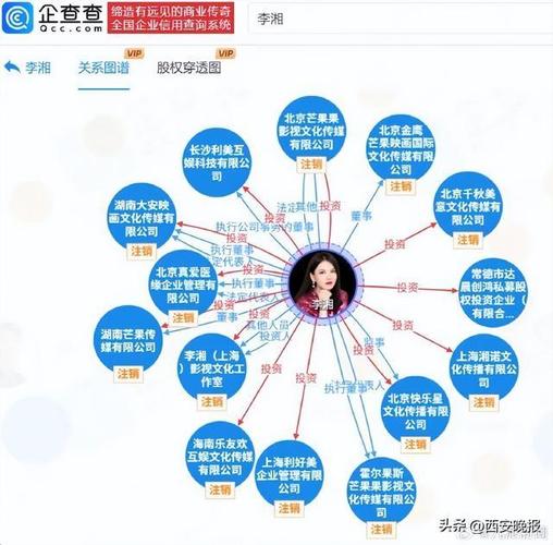 抖音小红书业务如何24小时自助取消/涨粉？-第3张图片-索能光电网