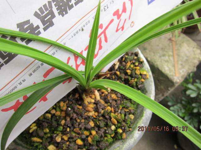 春兰保修电话是多少？-第1张图片-索能光电网