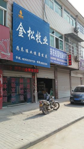 金松服务电话是多少？-第1张图片-索能光电网