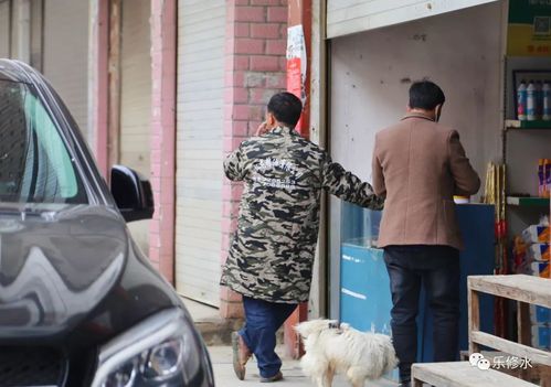 修水街坊电话-第3张图片-索能光电网