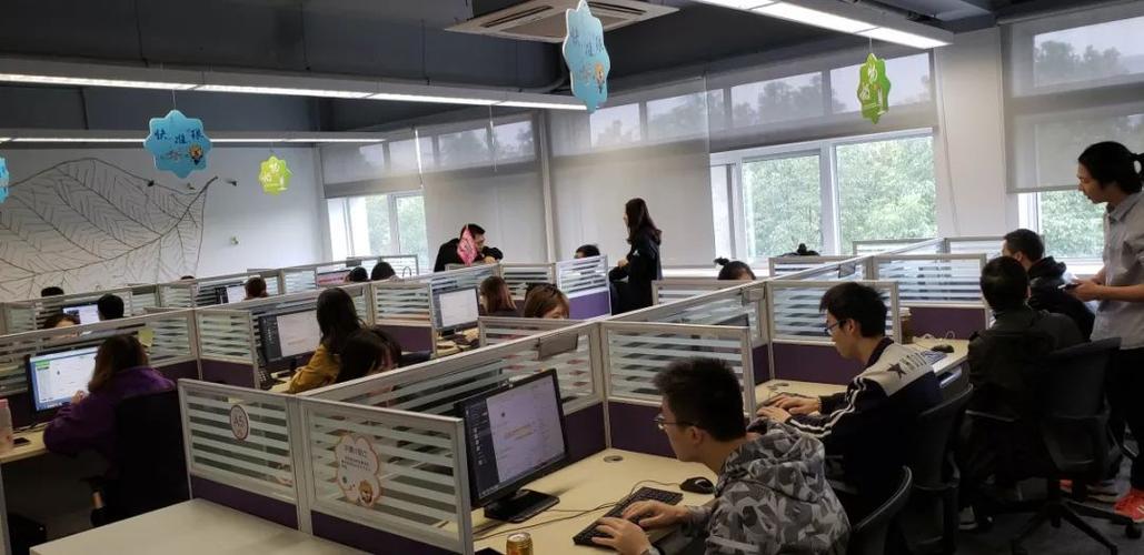 苏宁小米电话客服电话-第2张图片-索能光电网