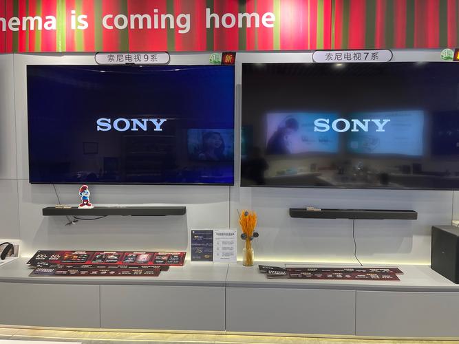 广州索尼售后电话是多少？-第1张图片-索能光电网