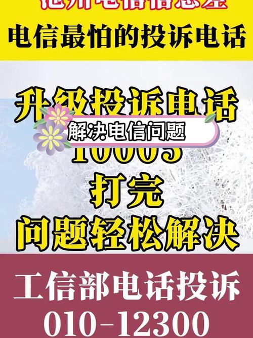 电话报修投诉电话是多少？-第3张图片-索能光电网