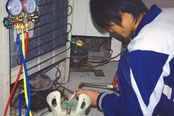 三星电冰箱售后服务电话-第2张图片-索能光电网