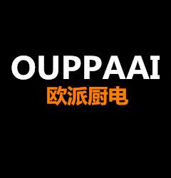 康派油烟机售后电话-第3张图片-索能光电网