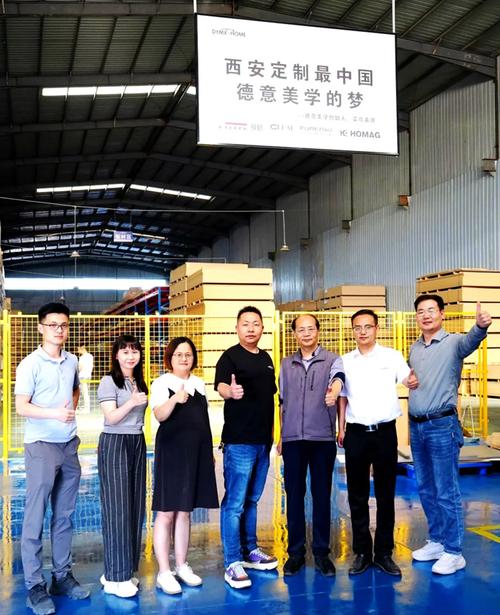 西安德意售后服务电话-第3张图片-索能光电网