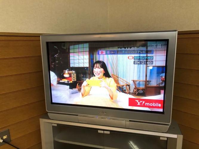 东芝电视机电话是什么？功能用途是什么？-第2张图片-索能光电网
