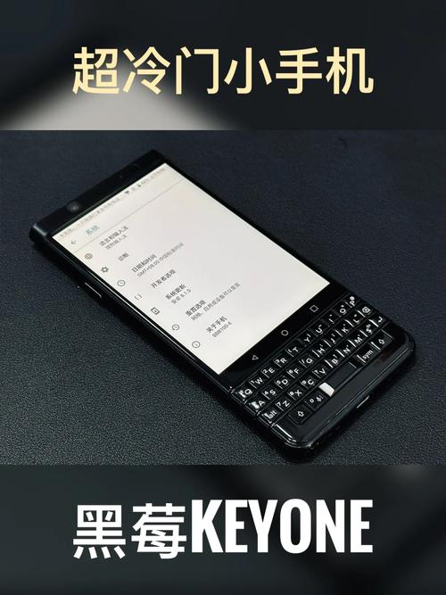 黑莓服务电话是多少？-第1张图片-索能光电网