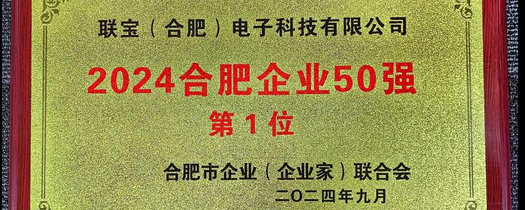 合肥联保电话是多少？-第1张图片-索能光电网