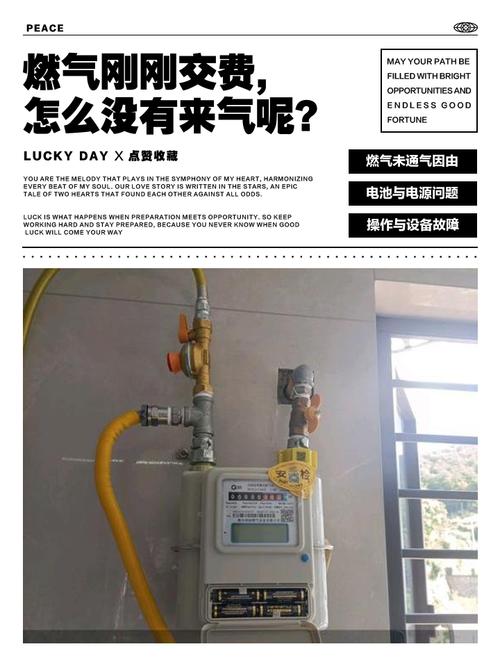 杭州煤气电话-第1张图片-索能光电网