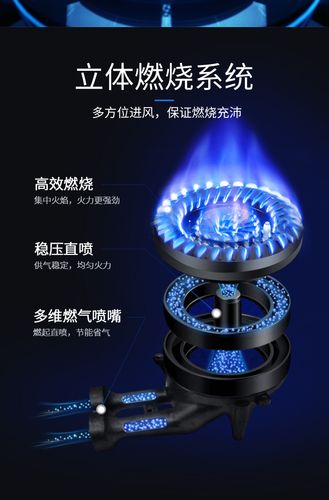 志高煤气售后服务电话是多少？-第1张图片-索能光电网