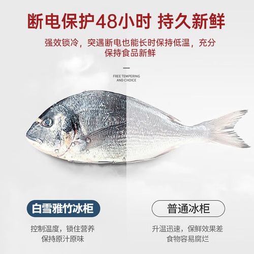 白雪冷柜售后电话-第1张图片-索能光电网 白雪冷柜售后电话-第1张图片-索能光电网