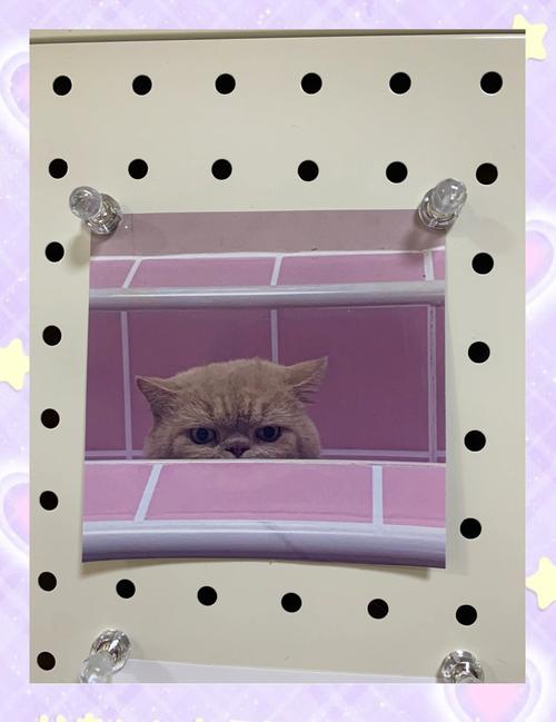 爱普生服务电话是多少？-第2张图片-索能光电网