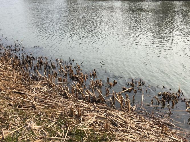 电梯坏了打哪个维修电话？-第1张图片-索能光电网